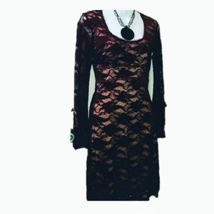Beau bois lace dress with pink lining